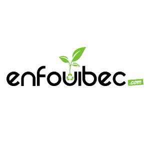 Enfouibec